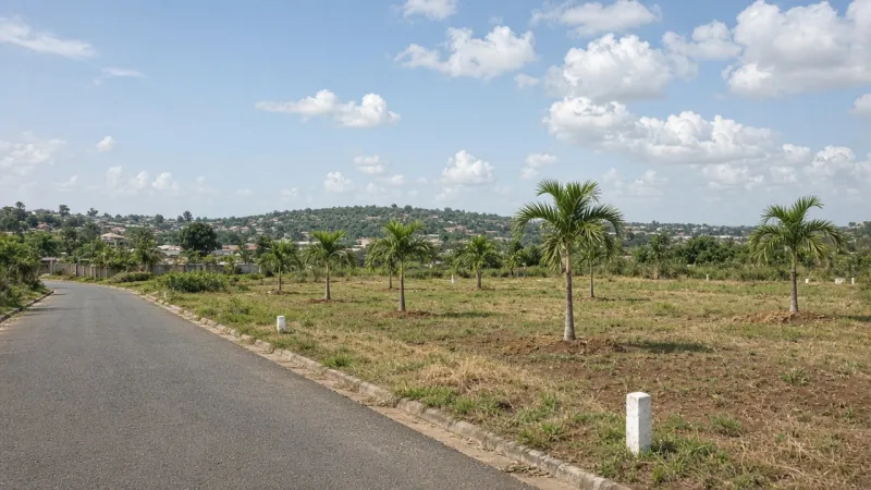Residential Land in Akobo
